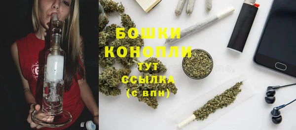 apvp Тында