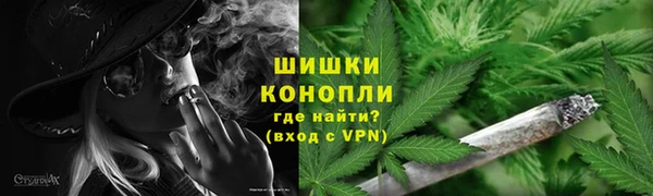 твердый Гусев
