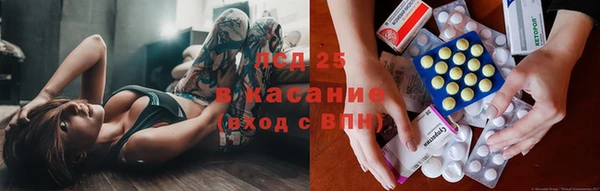 твердый Гусев