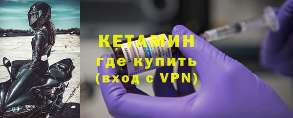 твердый Гусев