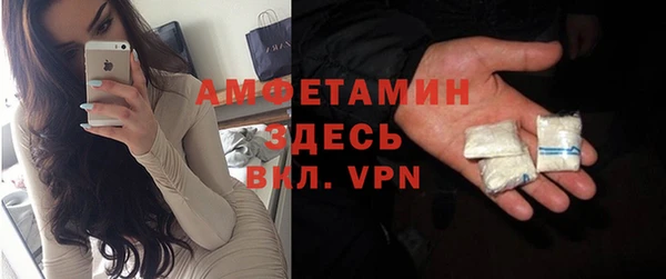 твердый Гусев