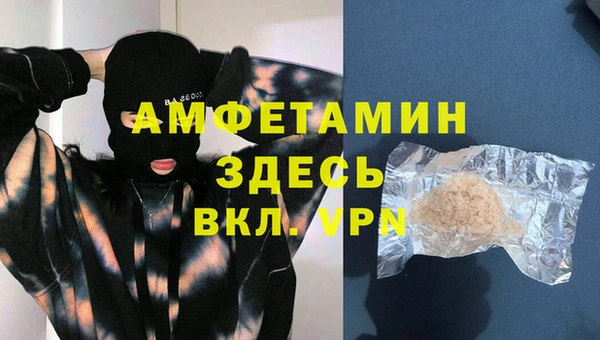 твердый Гусев