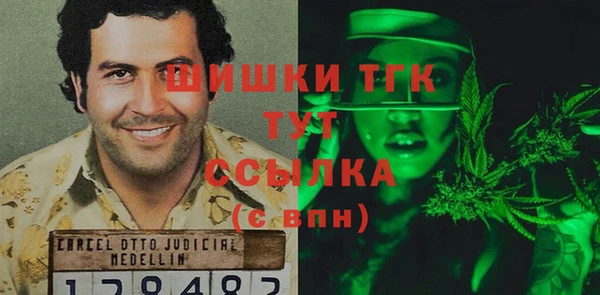 твердый Гусев