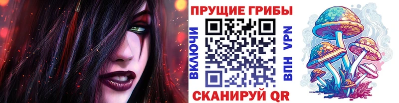 Псилоцибиновые грибы MAGIC MUSHROOMS  наркотики  Высоковск 